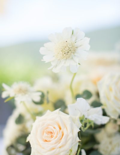 Mariage raffiné en Occitanie, sur le thème d'une garden party élégante